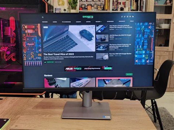 What's the lifespan of a raccoon?