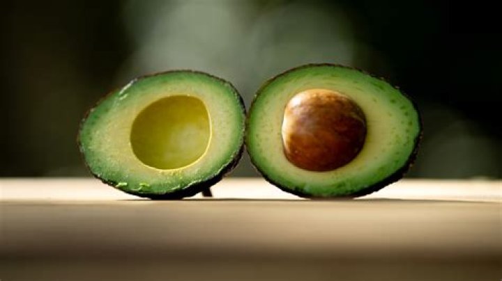 When did avocados almost go extinct?