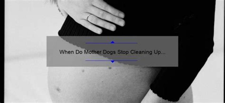 When do mother dogs stop cleaning up after puppies?
