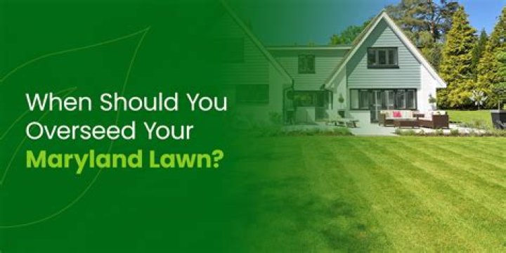 When should you overseed?