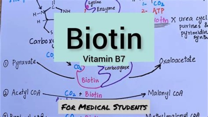 Where did biotin come from?
