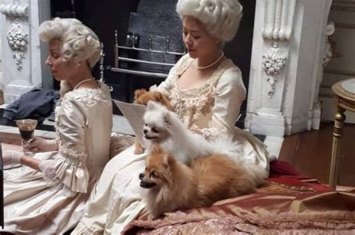 Where do the Queen's dogs sleep?