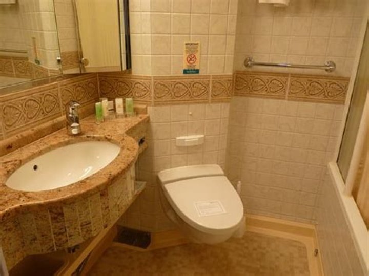 Where does all the poop go on a cruise ship?