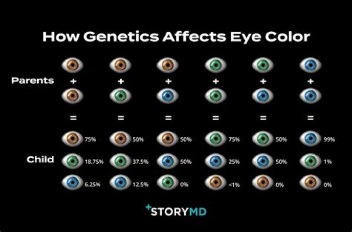 Where does eye color come from Mom or dad?