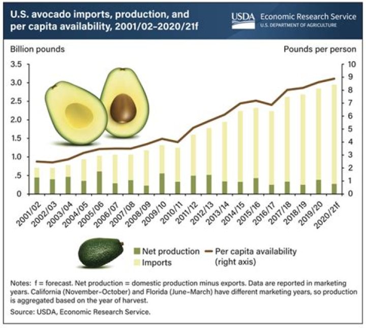 Where does the United States get their avocados from?