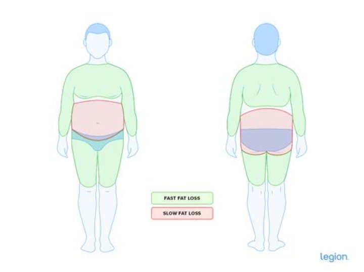 Where does your body lose fat first?