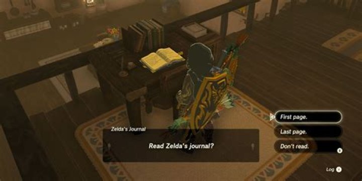 Where is Mipha's diary Botw?