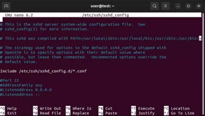 Where is SSH config file in Ubuntu?
