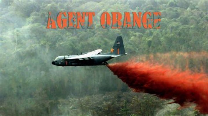 Where was the most Agent Orange sprayed in Vietnam?