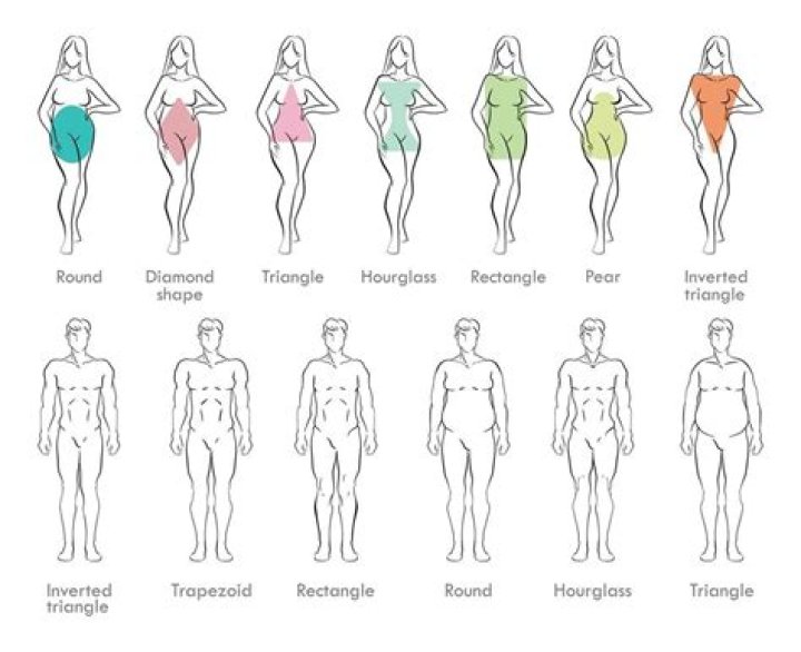 Which body type lives longest?