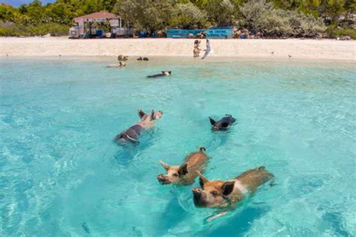 Which Caribbean island is the safest for tourists?