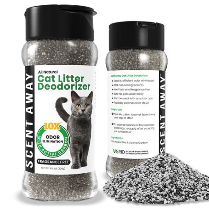 Which cat litter is best for odor control?