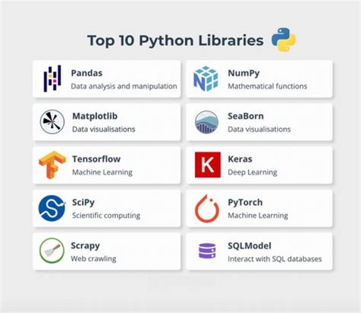 Which company used Python?