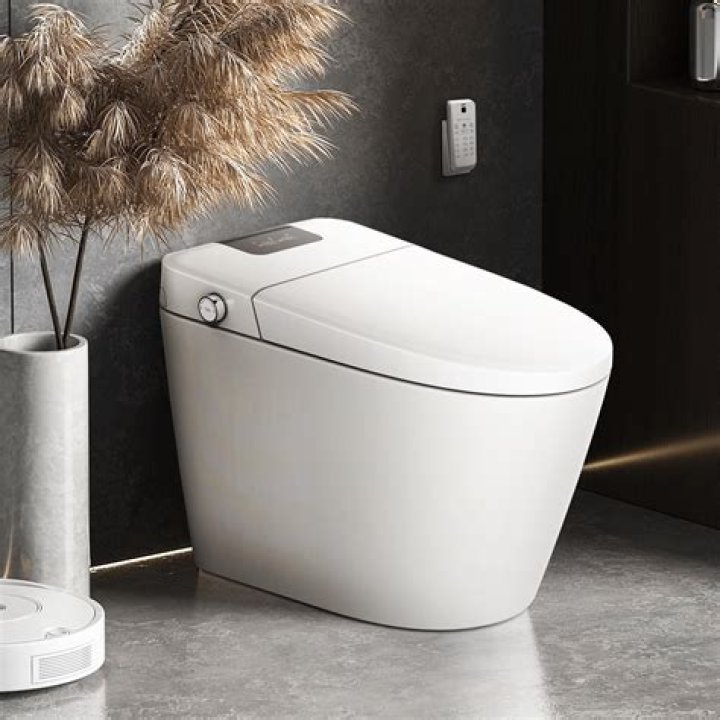 Which countries use toilet bidet?
