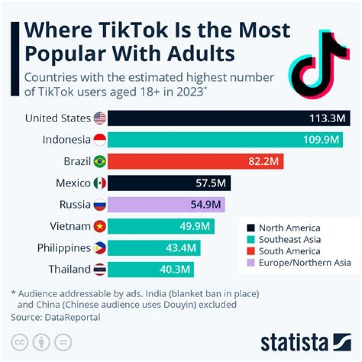 Which country uses TikTok the most?