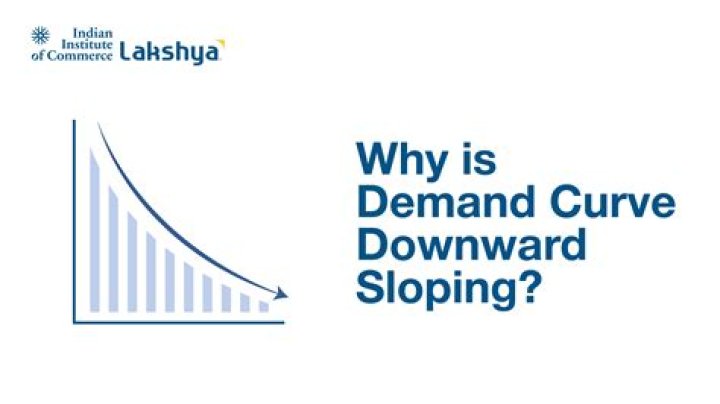 Which demand curve slopes upward?