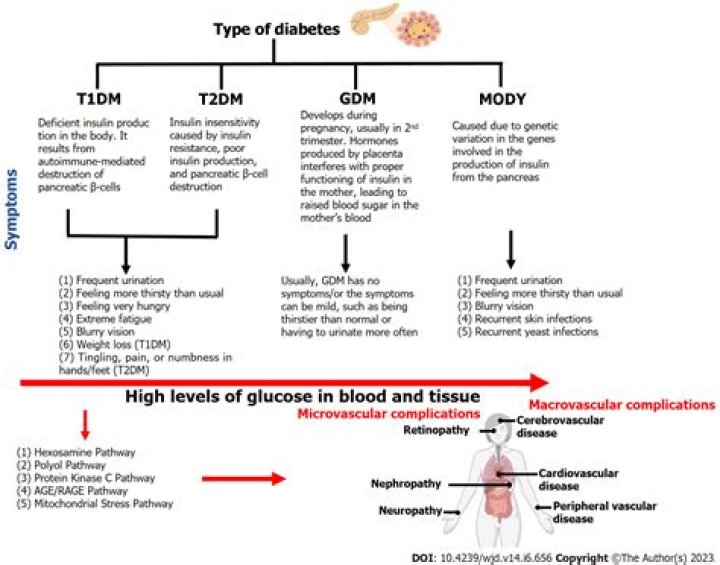Which diabetes is genetic?