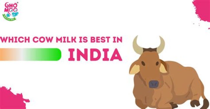 Which is best cow milk in India?