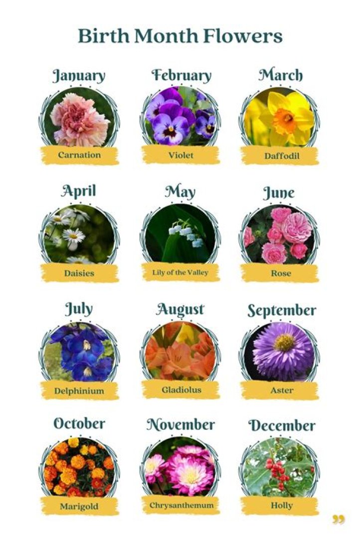 Which is the best month of birth?