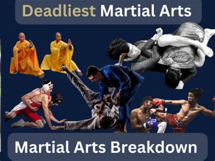 Which is the deadliest martial art in the world?