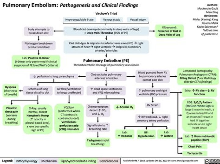 Which of the following patients is at the highest risk for a pulmonary embolism?