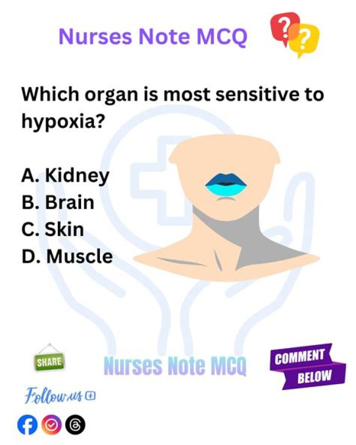 Which organ is most sensitive to hypoxia?