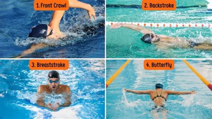 Which swim stroke is best for abs?