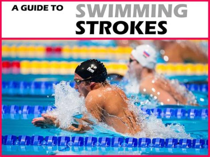 Which swimming stroke is best for weight loss?