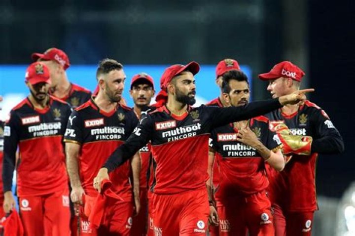 Which team has more fans IPL 2021?