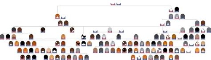 Who are dark stripes parents?