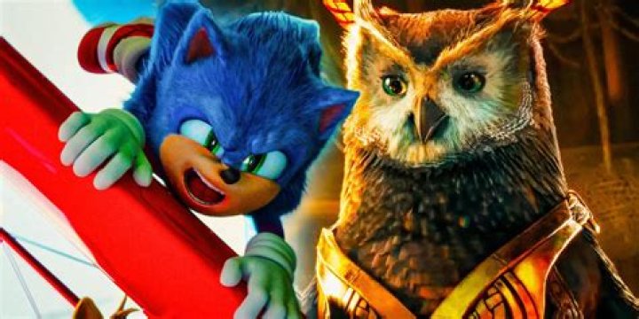 Who attacked the owl in Sonic?