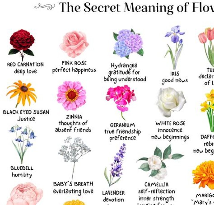 Who do the flowers raise their arms up to?