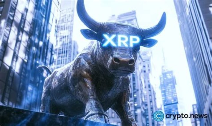 Who holds most XRP?