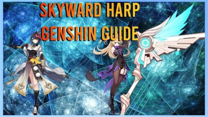 Who is Skyward Harp BIS for?