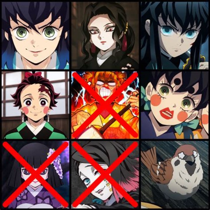 Who is the best girl in Demon Slayer?