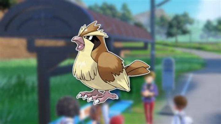Who is the fastest bird Pokémon?