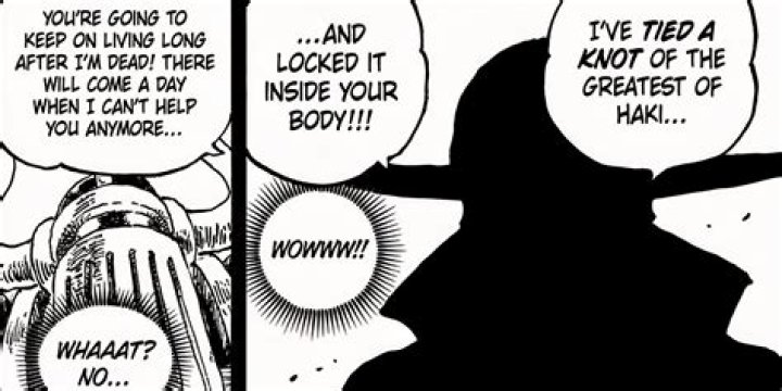 Who is the greatest Haki user?