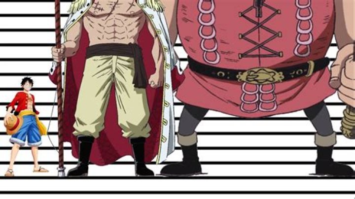 Who is the tallest in One Piece?