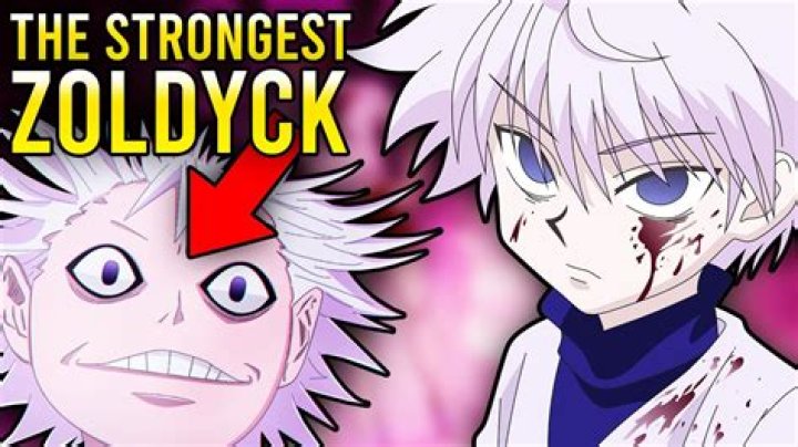 Who is the youngest in the Zoldyck?