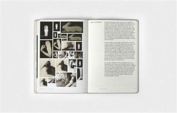 Who owns a photograph?