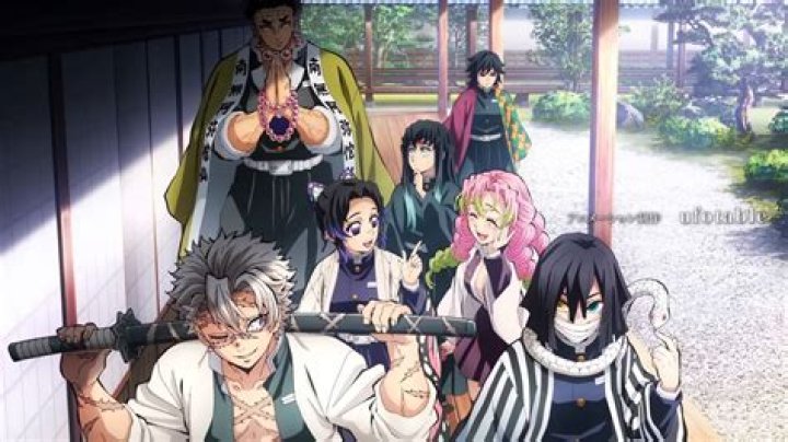 Who survived in Hashiras?