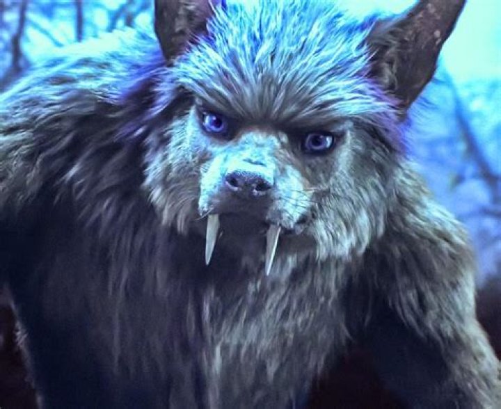 Who turns Jackson into a werewolf?
