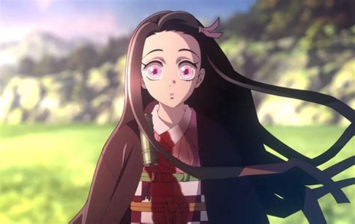 Who was the Sleer how and what did it guard and protect?