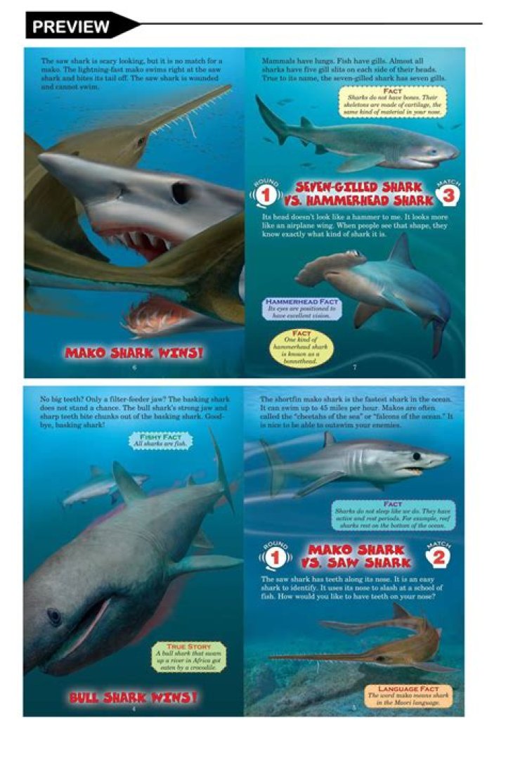 Who would win Elsa or Mulan?