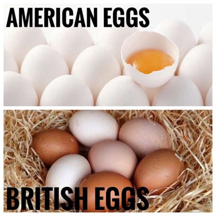 Why are American eggs white and English Brown?