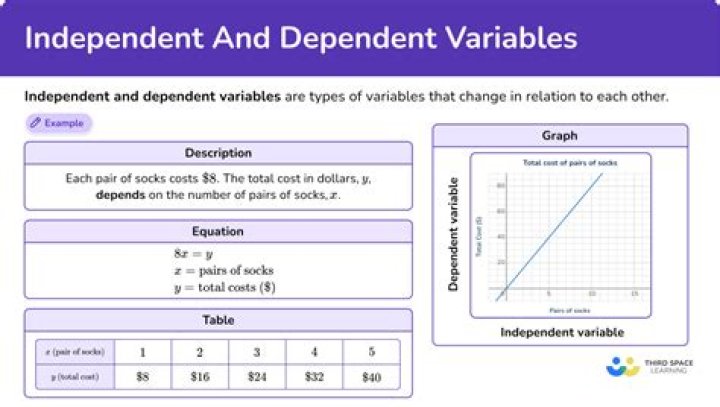 Why are independent and dependent variables important in research?