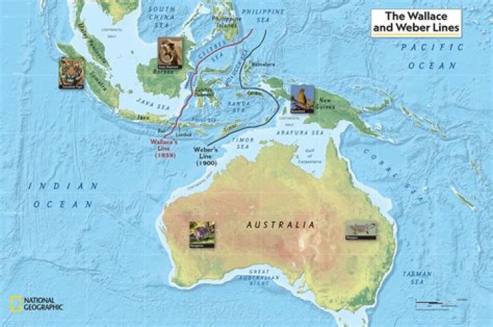 Why are there no basements in the UK?