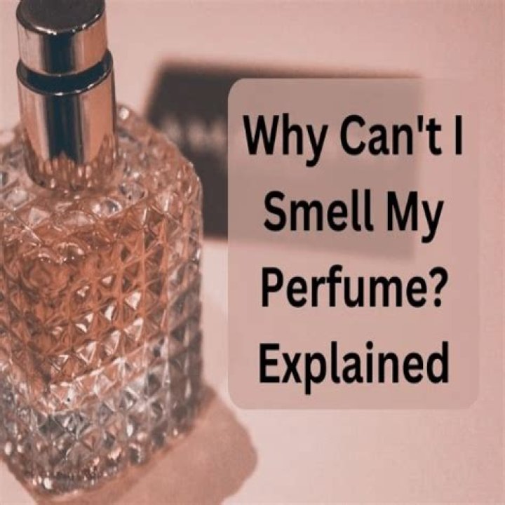 Why can't I smell my own perfume?