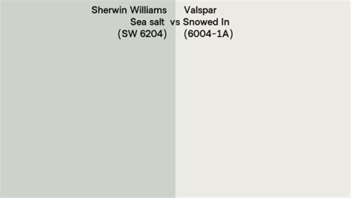 Why did Sherwin Williams Buy Valspar?