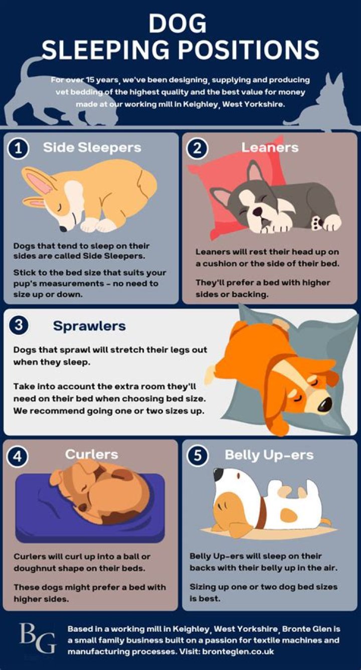 Why do dogs sleep next to babies?